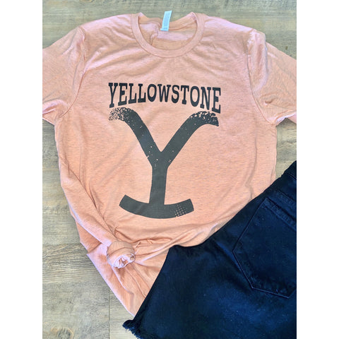 Brand Yellowstone on Sunset Crewneck (Fits True to Size)